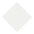 Veritas Automata EMSL Logo White