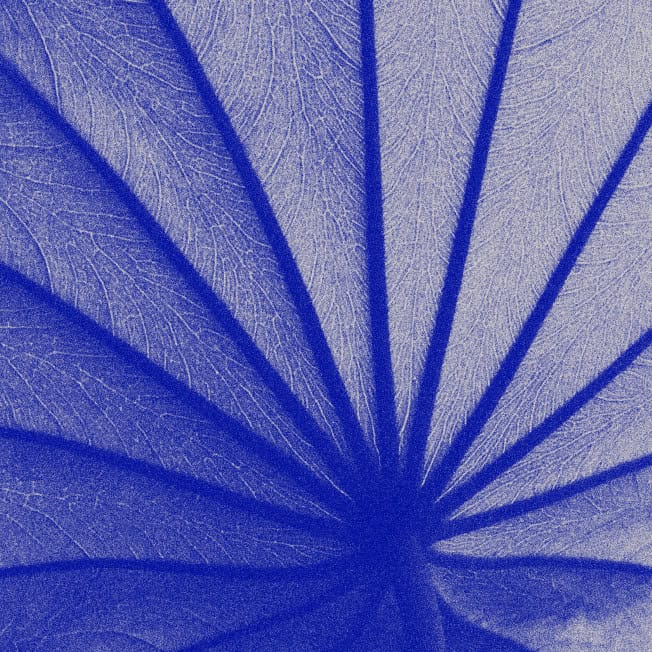 Veritas Automata Remarque Case Study Thumbnail