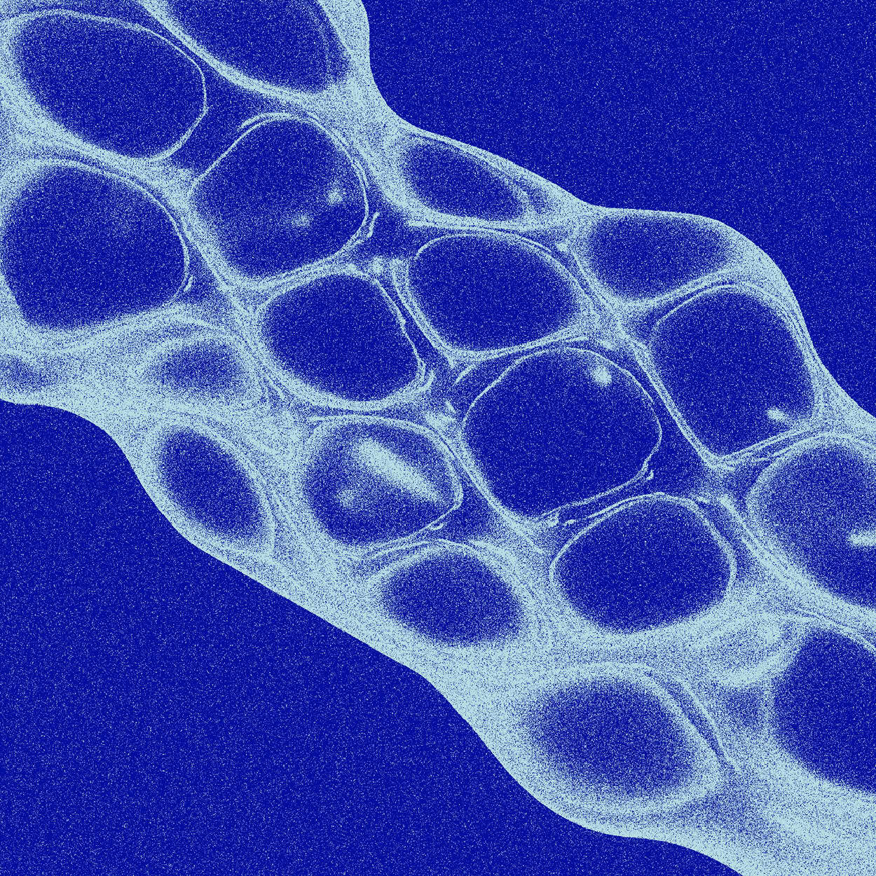 Veritas Automata Lab Automation Thumbnail