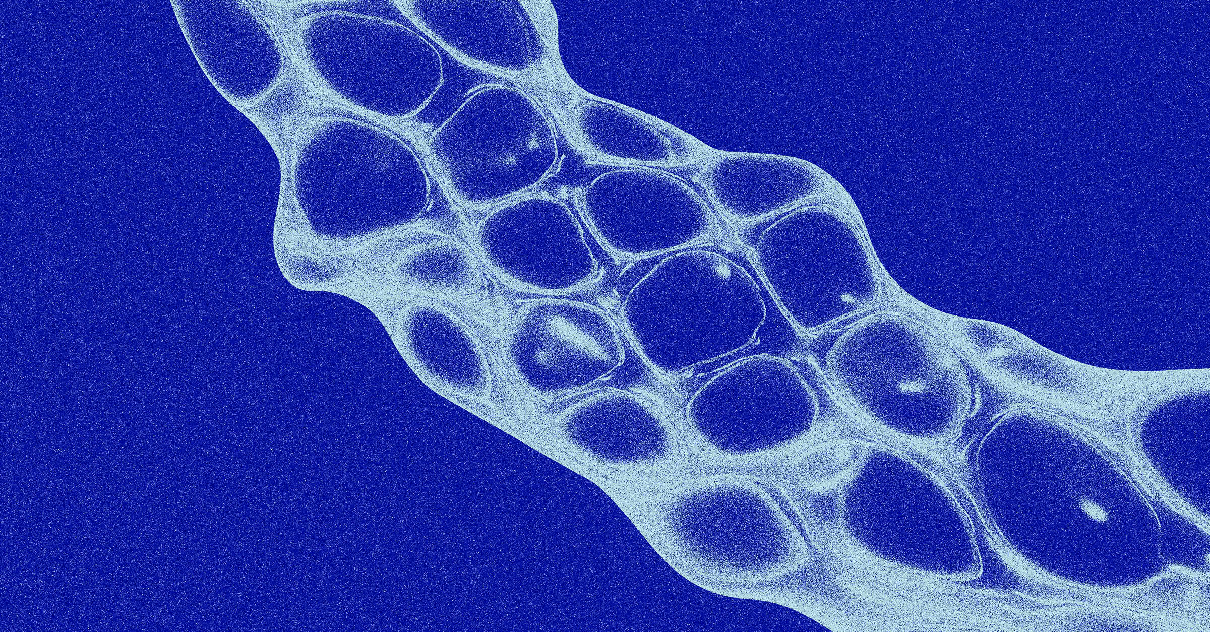 Veritas Automata Embedding AI and ML Through Ethical and Regulatory Strategy Social Card