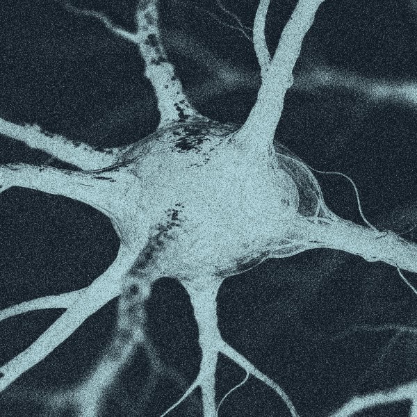 Veritas Automata Edge First Scientific Data Our Solution​